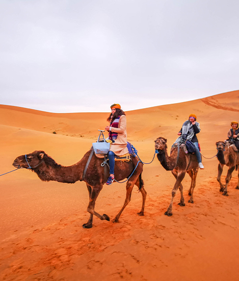 Africa Excursion - Morocco Desert Tours