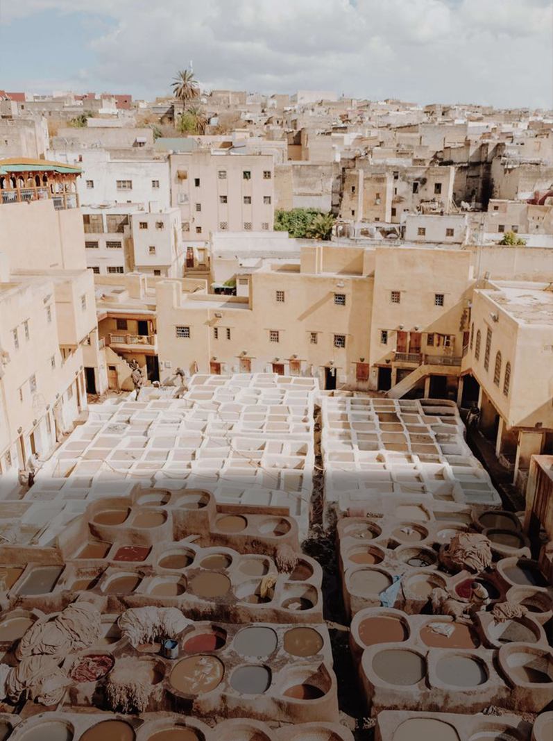 Tours from Fes