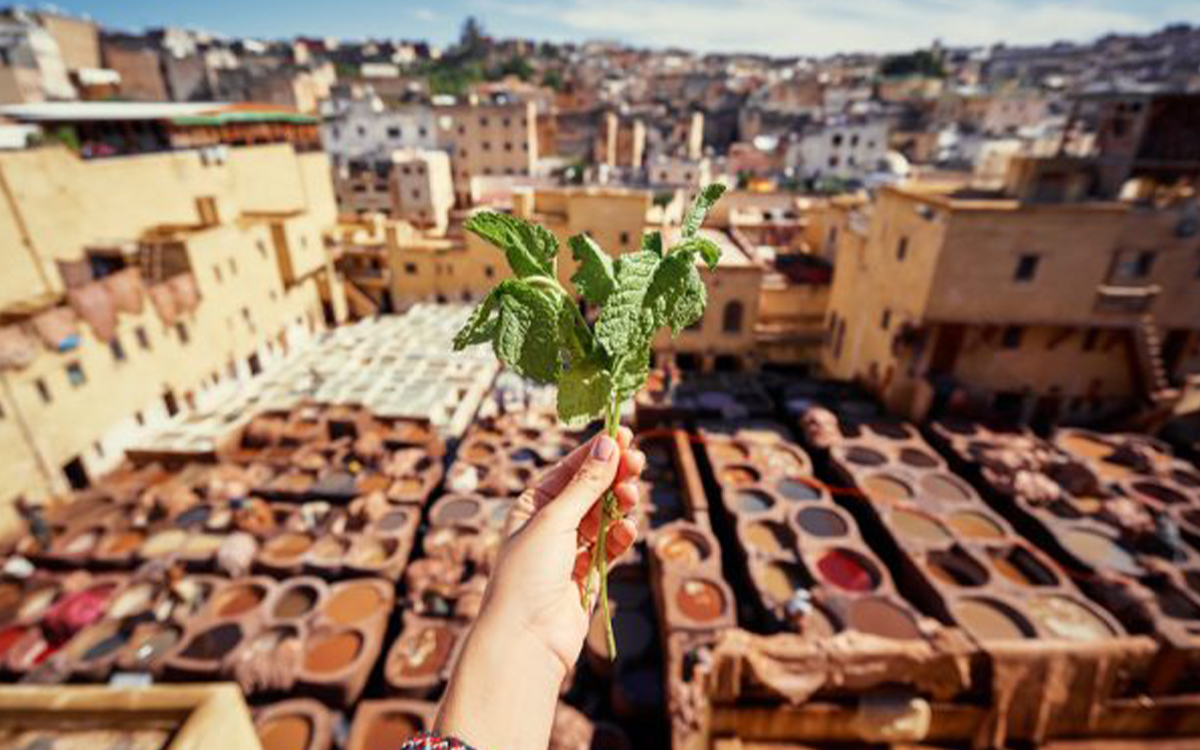 12 Days Morocco Tour itinerary from Casablanca
