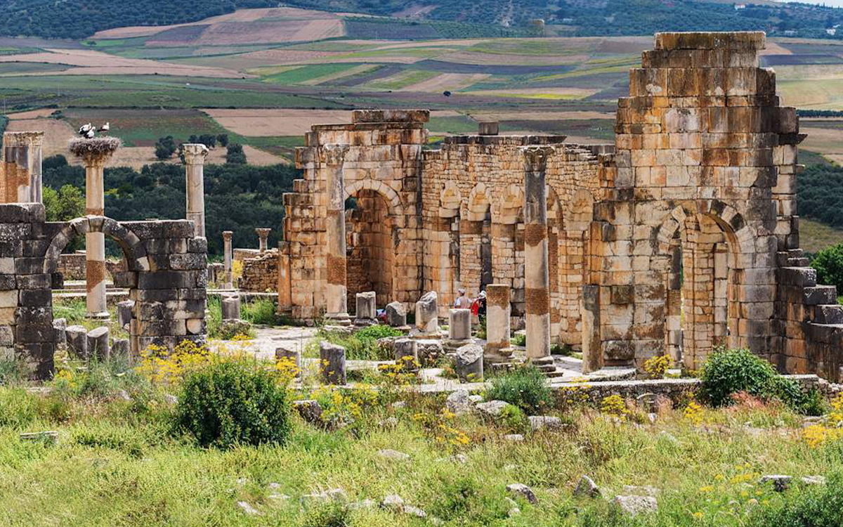 Meknes and Volubilis Day Trip