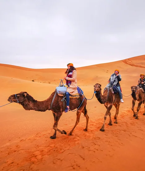 Africa Excursion Morocco Tours