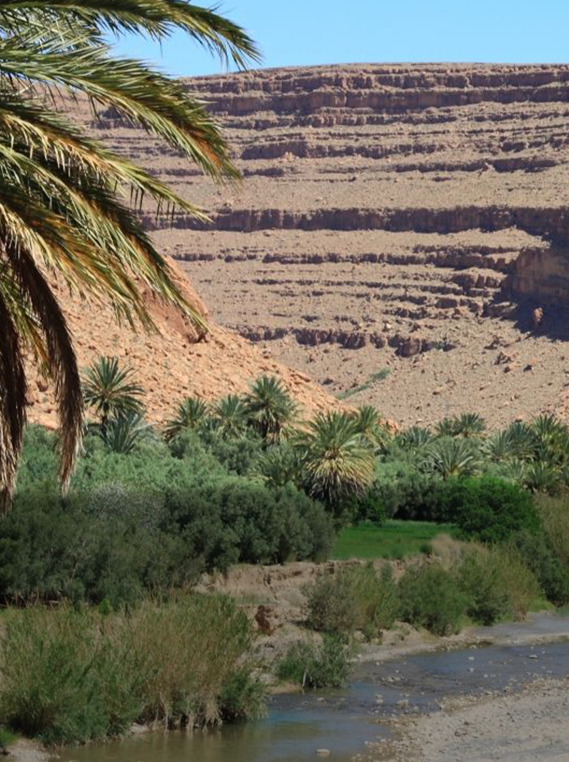 Tours from Errachidia Morocco