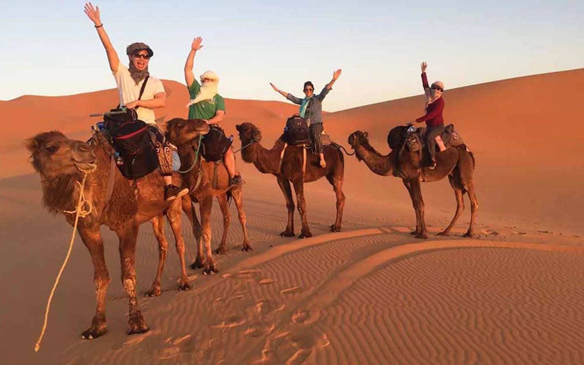 Camel Trekking Merzouga Sahara