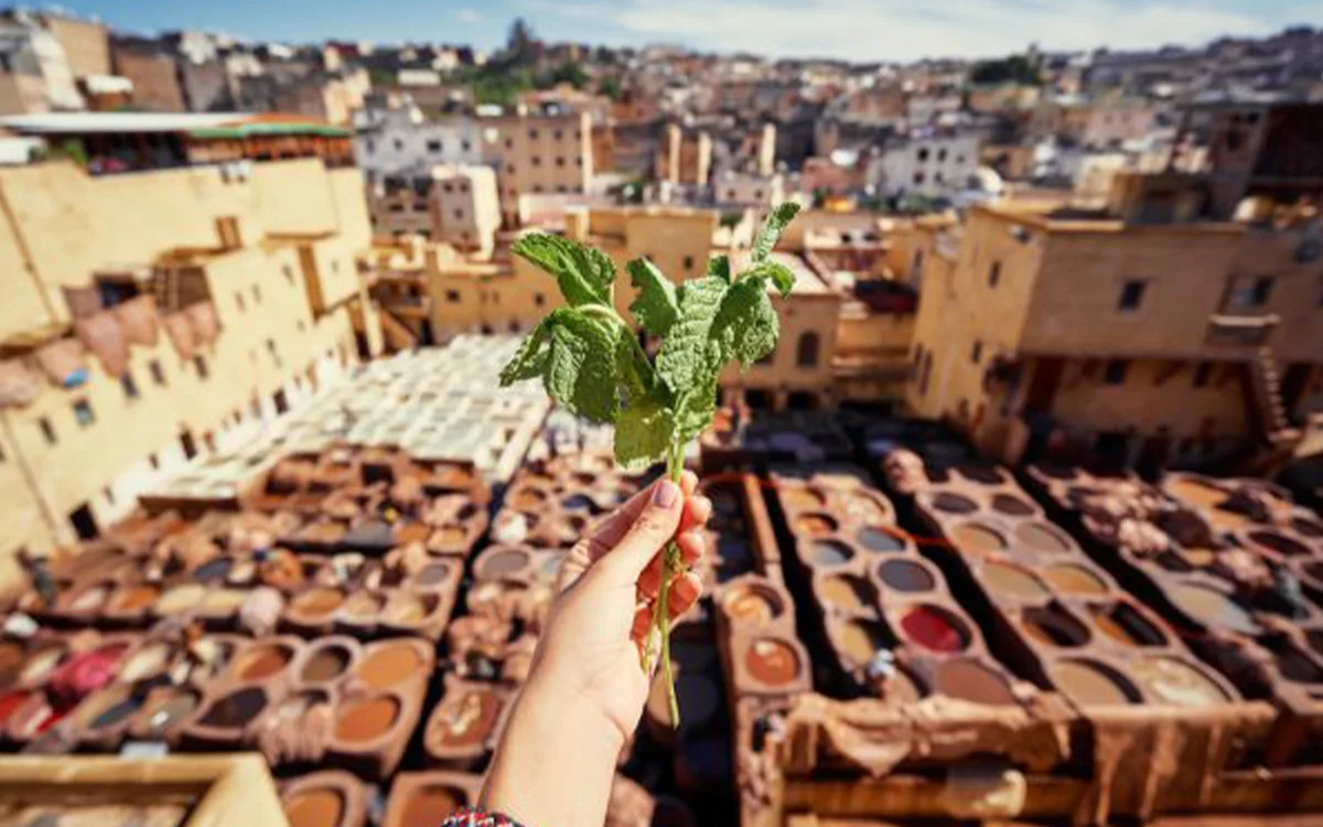 12 Days Morocco Tour from Casablanca